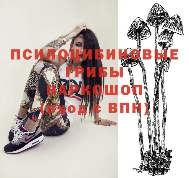 Псилоцибиновые грибы Magic Shrooms  Апшеронск 